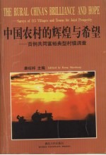 中国农村的辉煌与希望 百例共同富裕典型村镇调查