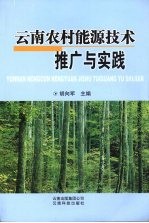 云南农村能源技术推广与实践