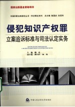 侵犯知识产权罪立案追诉标准与司法认定实务