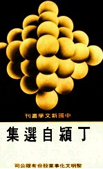 中国新文学丛刊 133 丁颖自选集