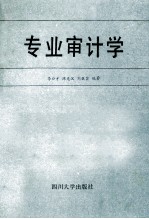 专业审计学