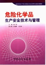 危险化学品生产安全技术与管理  危险化学品生产单位主要负责人及安全管理人员岗位培训教材