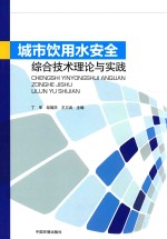 城市饮用水安全综合技术理论与实践