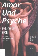 丘比德与赛姬 阴性心灵的发展 修订版