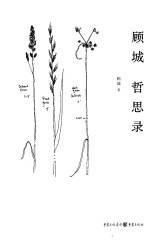 “汉语江湖”书系  顾城哲思录