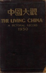 中国大观图画年鉴 1930