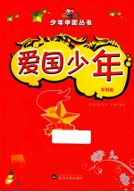 爱国少年 彩图版