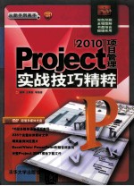 Project 2010项目管理 实战技巧精粹 从新手到高手