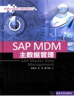 SAP MDM主数据管理