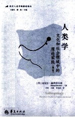 人类学 文化和社会领域中的理论实践 theoretical practice in culture and society