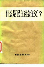 什么是“民主社会主义”