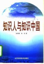 知识人与知识中国