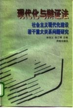 现代化与辩证法 社会主义现代化建设若干重大关系问题研究