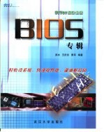 DIYer进阶法宝 BIOS专辑