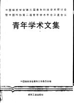 青年学术文集 中国煤炭学会第三届青年科技学术研讨会暨中国科协第二届青年学术年会卫星会议