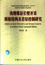 浅埋煤层长壁开采顶板结构及岩层控制研究