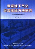 煤炭地下气化渗流燃烧方法研究