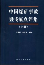 中国煤矿事故暨专家点评集 上