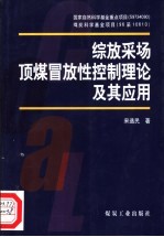 综放采场顶煤冒放性控制理论及其应用