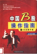 中国B股操作指南 上 实战操作篇