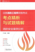 注册消防工程师资格考试 考点精析与试题精解 消防安全案例分析