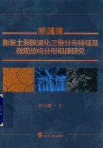 膨胀土裂隙演化三维分布特征及微观结构分形规律研究