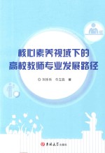 核心素养视域下的高校教师专业发展路径