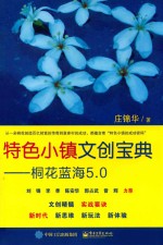 特色小镇文创宝典 桐花蓝海5.0