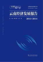 云南蓝皮书 2013-2014云南经济发展报告