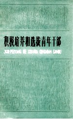 积极培养和选拔青年干部