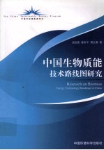 中国生物质能技术路线图研究