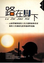 路在脚下 云南省城镇退役士兵自谋职业和农村退役士兵创业先进事迹材料选编