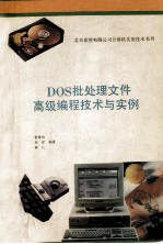 DOS批处理文件高级编程技术与实例