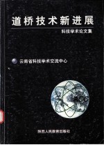 科技学术论文集 道桥技术新进展