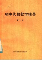 初中代数教学辅导 第1册