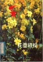 花蕾初绽：新一代赞歌