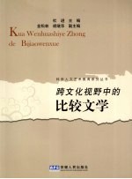 跨文化视野中的比较文学