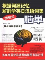 根据词源记忆解剖学英日汉语词集 英文·日文·中文(图解式) 脑与神经学名词