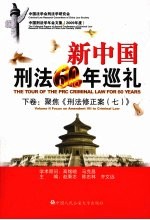 中国刑法学年会文集 2009年度 下 聚焦《刑法修正案（七）》