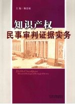 知识产权民事审判证据实务