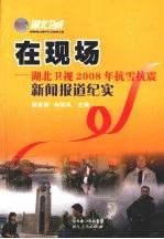 在现场 湖北卫视2008年抗雪抗震新闻报道纪实