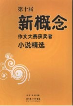 第十届新概念作文大赛获奖者小说精选