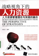 战略视角下的人力资源 人力资源管理理论与实践的融合