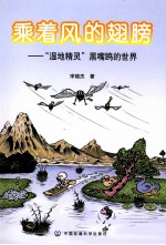 乘着风的翅膀 湿地精灵、黑嘴鸥的世界