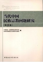 当代中国民族宗教问题研究 第5集