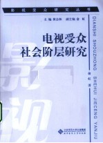 电视受众社会阶层研究