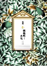 琼瑶全集·第2辑 燃烧吧！火鸟