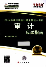 2014年度注册会计师全国统一考试 审计 应试指南