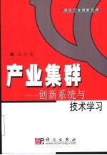 产业集群 创新系统与技术学习