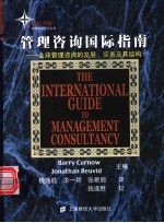 管理咨询国际指南 全球管理咨询的发展、实务及其结构